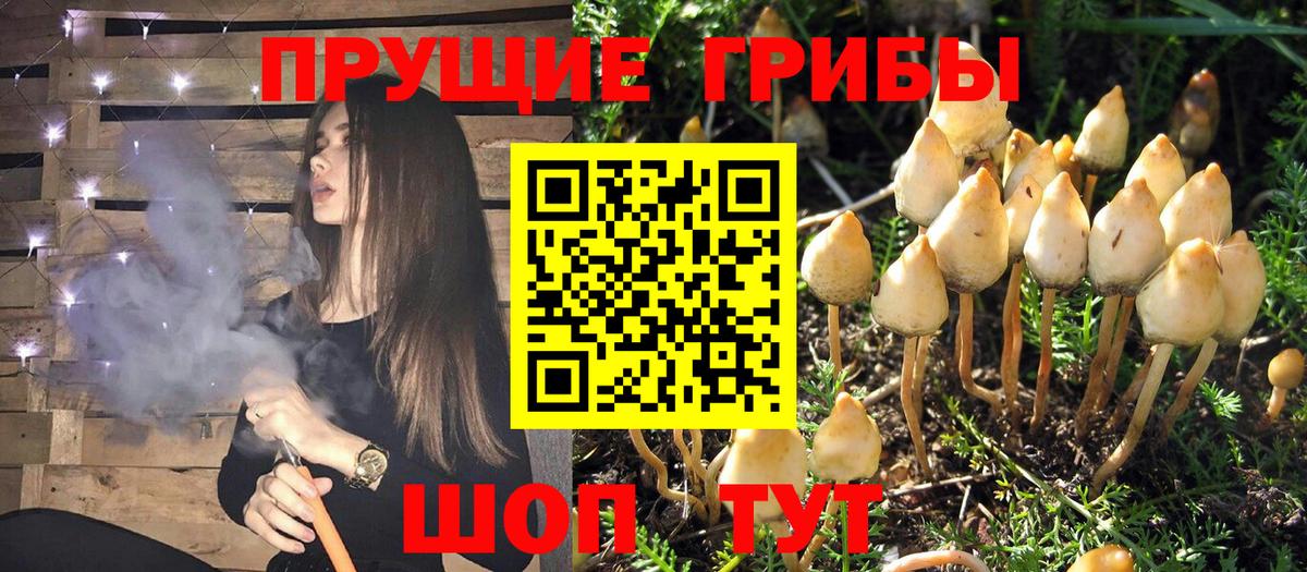 Галлюциногенные грибы прущие грибы Алексин