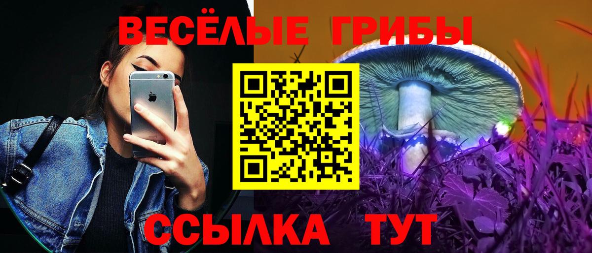Галлюциногенные грибы MAGIC MUSHROOMS  Галлюциногенные грибы Psilocybine cubensis  Вход с VPN  Алексин 